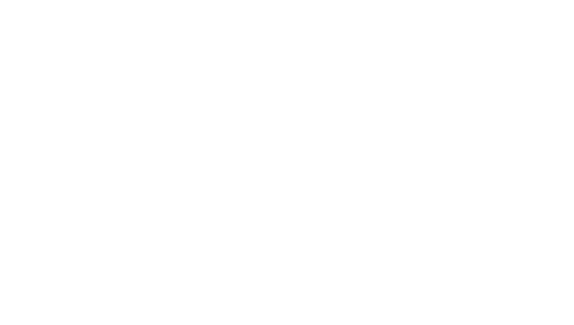 Onsi_Secondary_Logo (White)